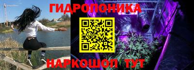 стафф Будённовск