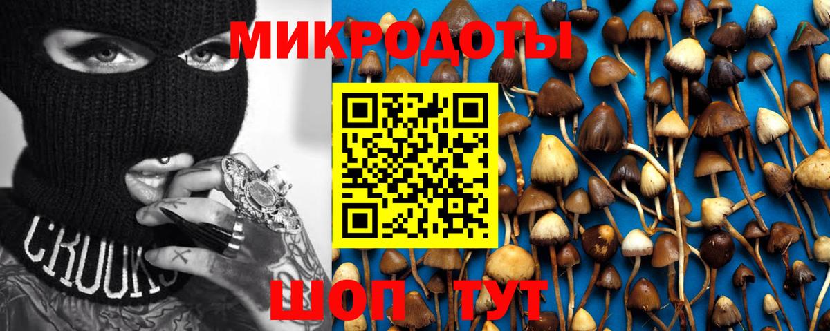 Сергиев Посад  Псилоцибиновые грибы GOLDEN TEACHER  Вход с VPN  купить наркотики сайты  Псилоцибиновые грибы Psilocybe 